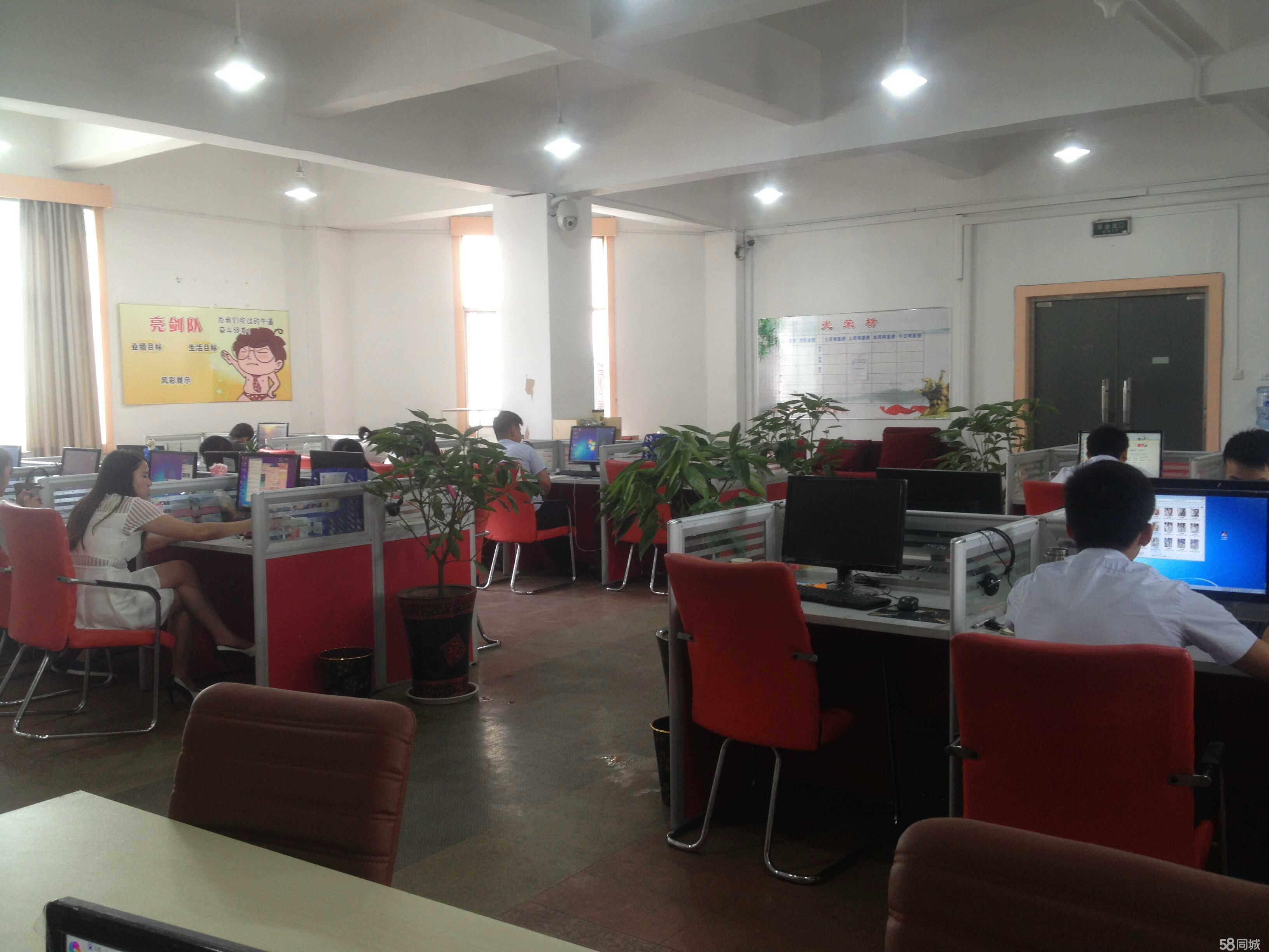 万高商务咨询 专业商务信息咨询的价值与赋能